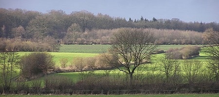 Landschaft von Köthel